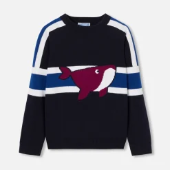 Pull enfant garçon - marine/bleu