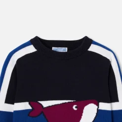 Pull enfant garçon - marine/bleu